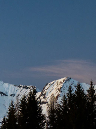 抖圈(中国)有限公司官网