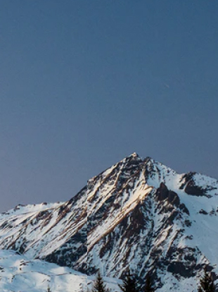 抖圈(中国)有限公司官网